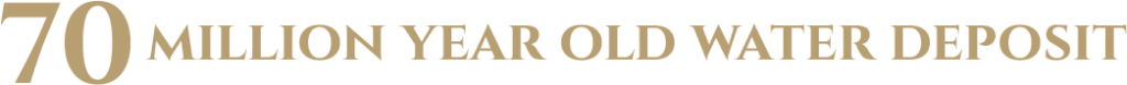 Royal Water Logo Banner